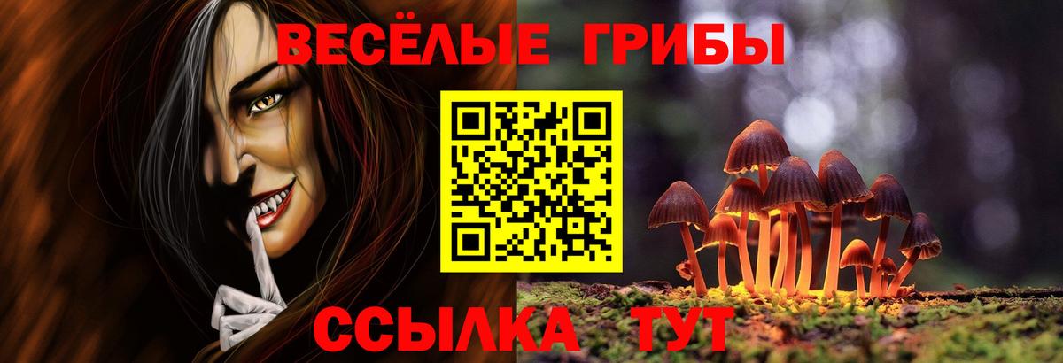 Горно-Алтайск  Галлюциногенные грибы MAGIC MUSHROOMS  Вход с VPN 